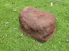 Memorial Rock Urn 1822 Regular Brown