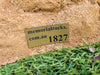 Memorial Rock Urn 1827  Medium Sandstone